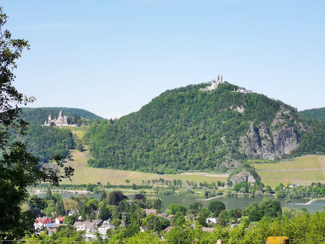 Rodderberg, Bonn