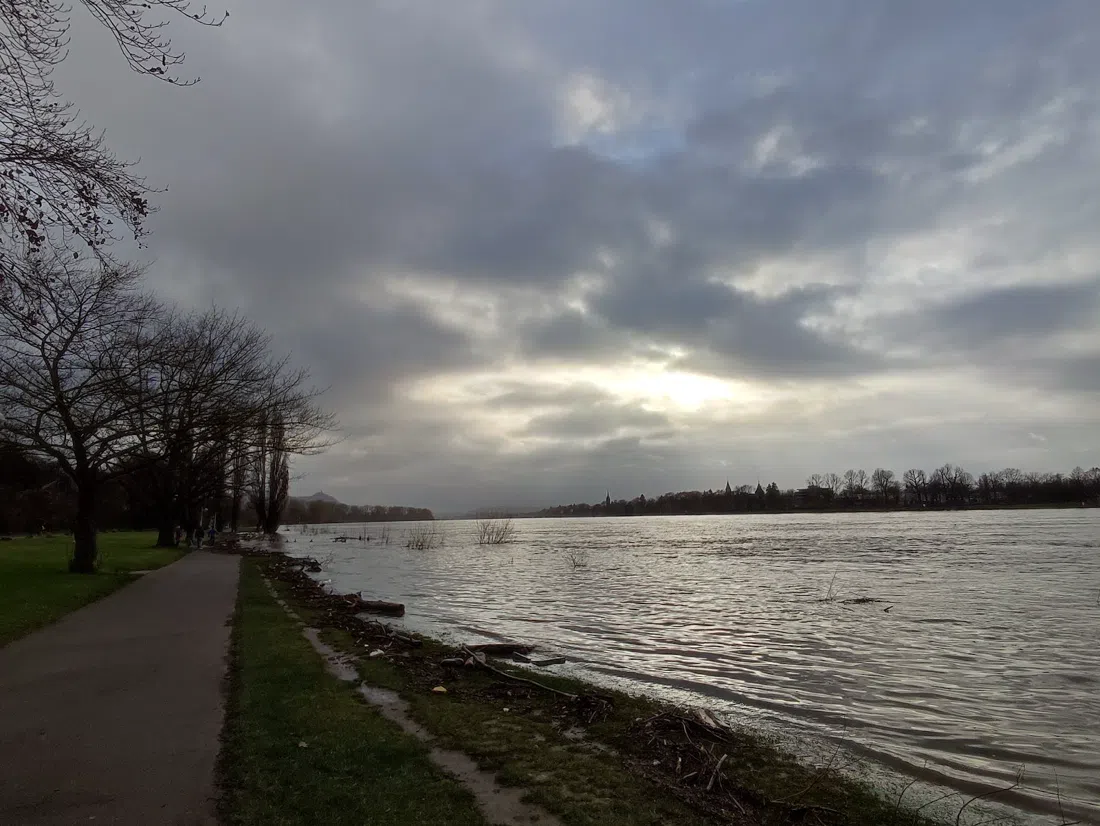 Oberkasseler Rheinufer (Rhine riverside path), Bonn