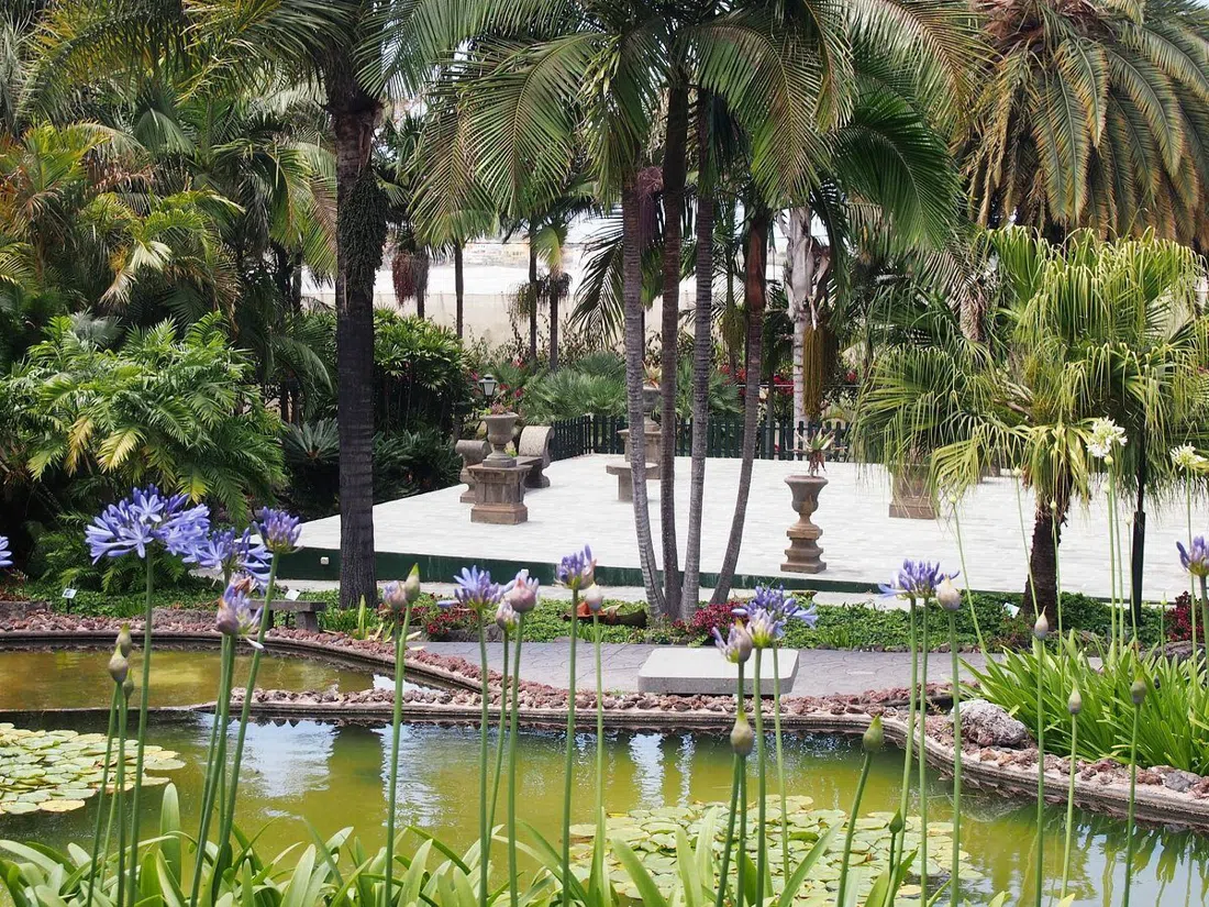 peacocks on the paths at Jardín de la Marquesa botanical garden in Arucas