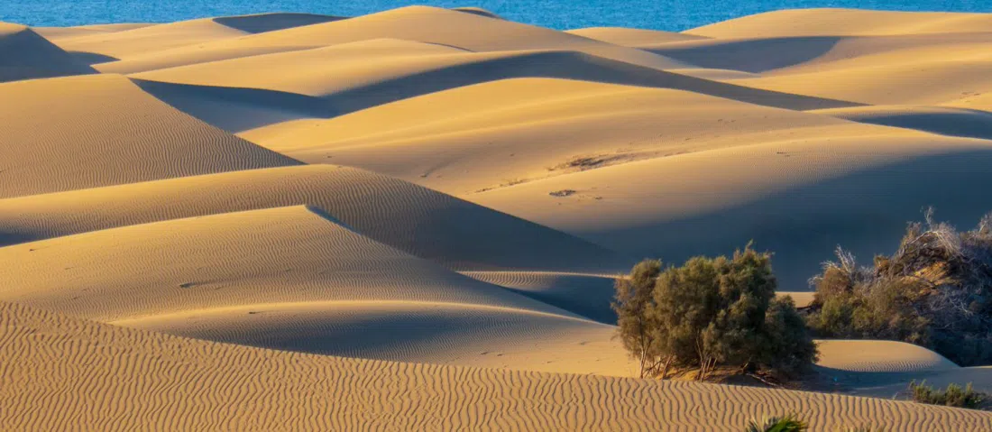 the four-kilometre beach at Playa del Inglés running west into the Maspalomas dunes