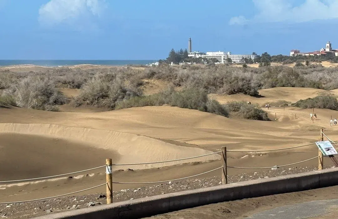 Avenida de Tirajana, the main avenue running through Playa del Inglés