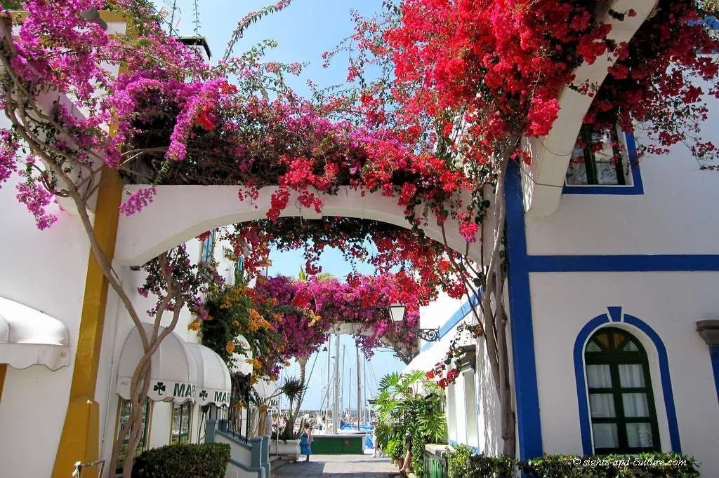 the seawater canals and small arched footbridges of Puerto de Mogán, white houses draped in bougainvillea