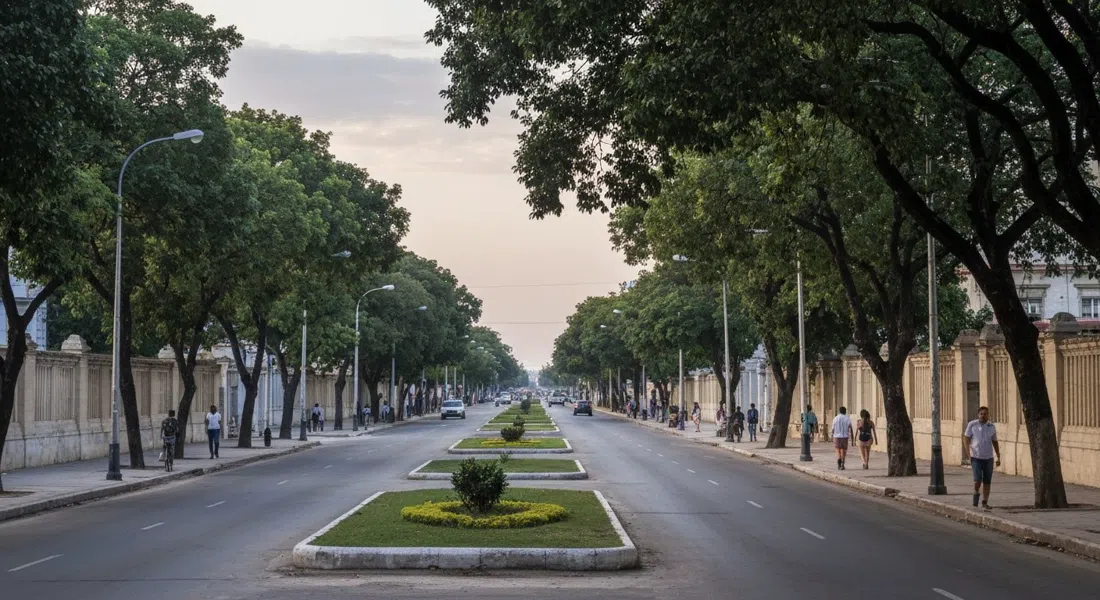 Quinta Avenida in Miramar at late afternoon, a broad tree-shaded boulevard with its landscaped median, embassy walls and quiet traffic stretching into the distance