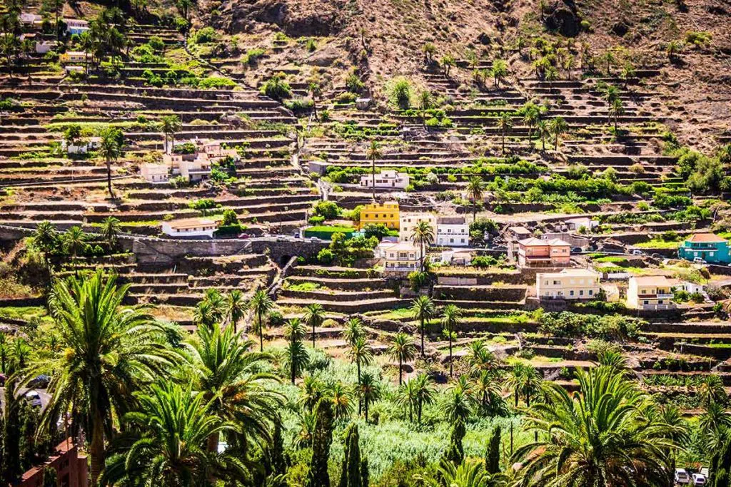 the banana terraces and volcanic cliffs of the Valle Gran Rey ravine dropping to the Atlantic, La Gomera