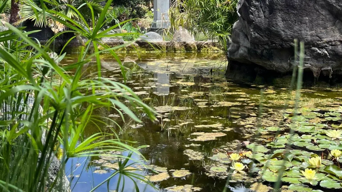 Jardín Botánico del Descubrimiento de Vallehermoso