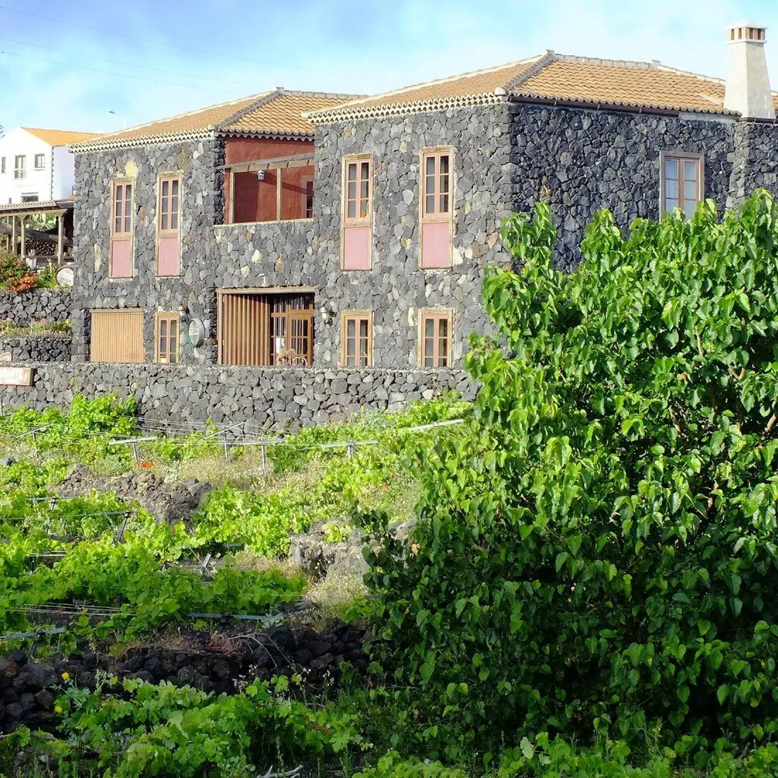 La Casa del Volcán in Los Canarios