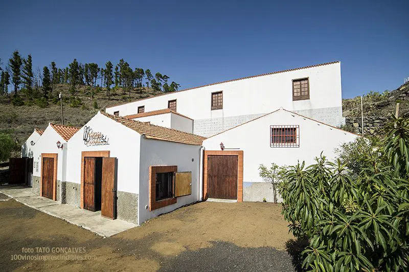 Bodegas Carballo at the San Antonio volcano entrance