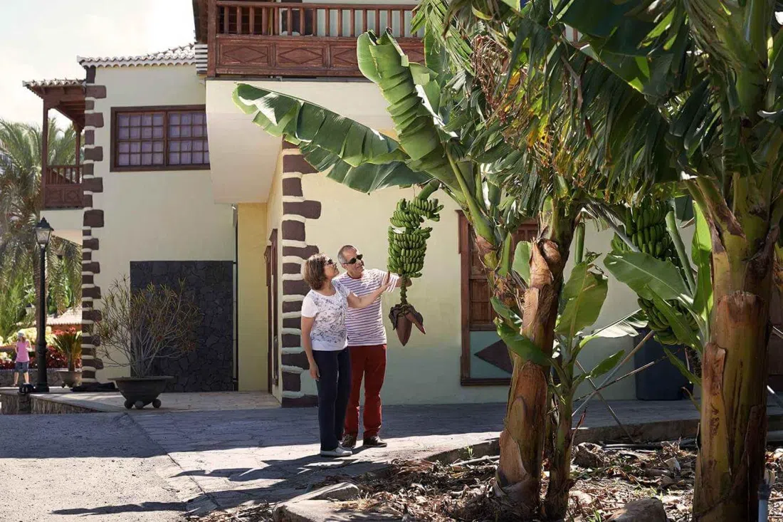 Museo del Plátano de Tazacorte