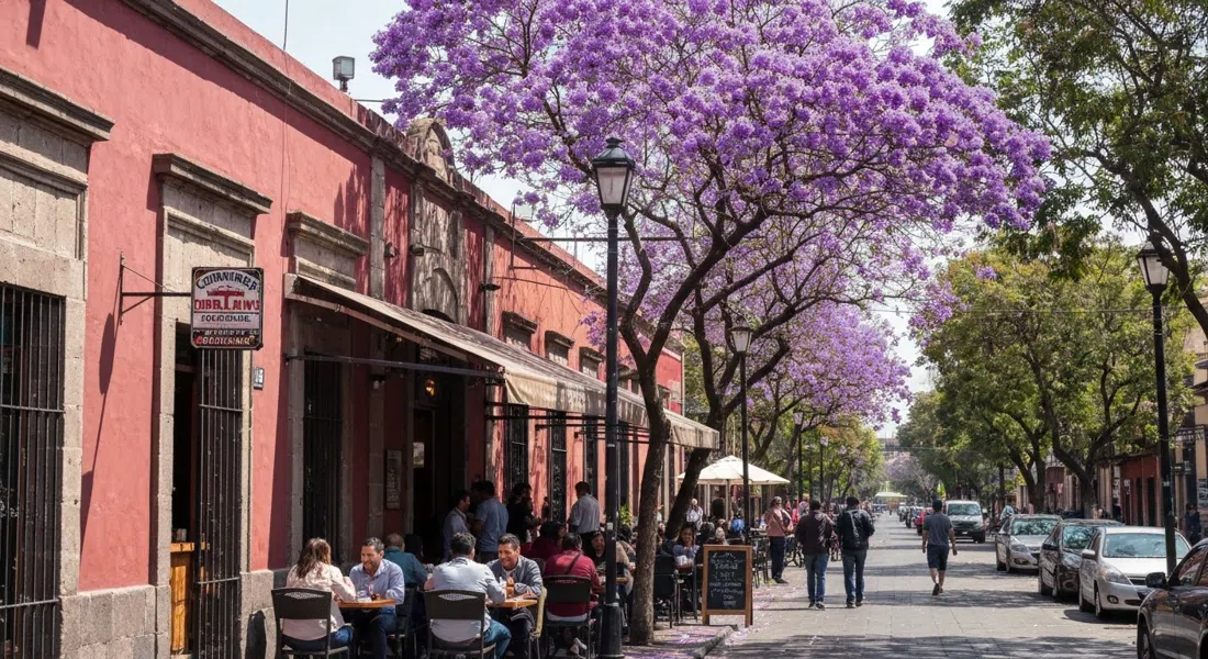 Contramar on Durango 200 at lunchtime, with diners queued outside under jacaranda shade and the street buzzing before service