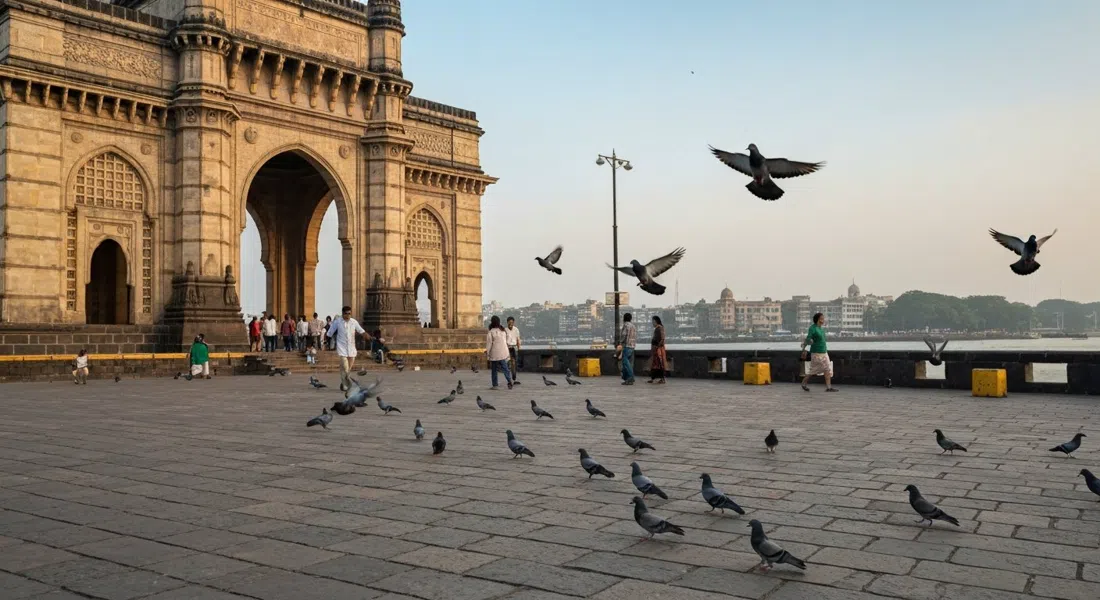 the Gateway of India at Apollo Bunder in early morning light, harbour water behind the yellow basalt arch and pigeons lifting from the paving