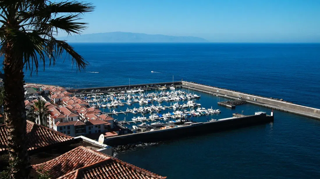 Los Gigantes Marina with whale-watching boats moored beneath the cliffs