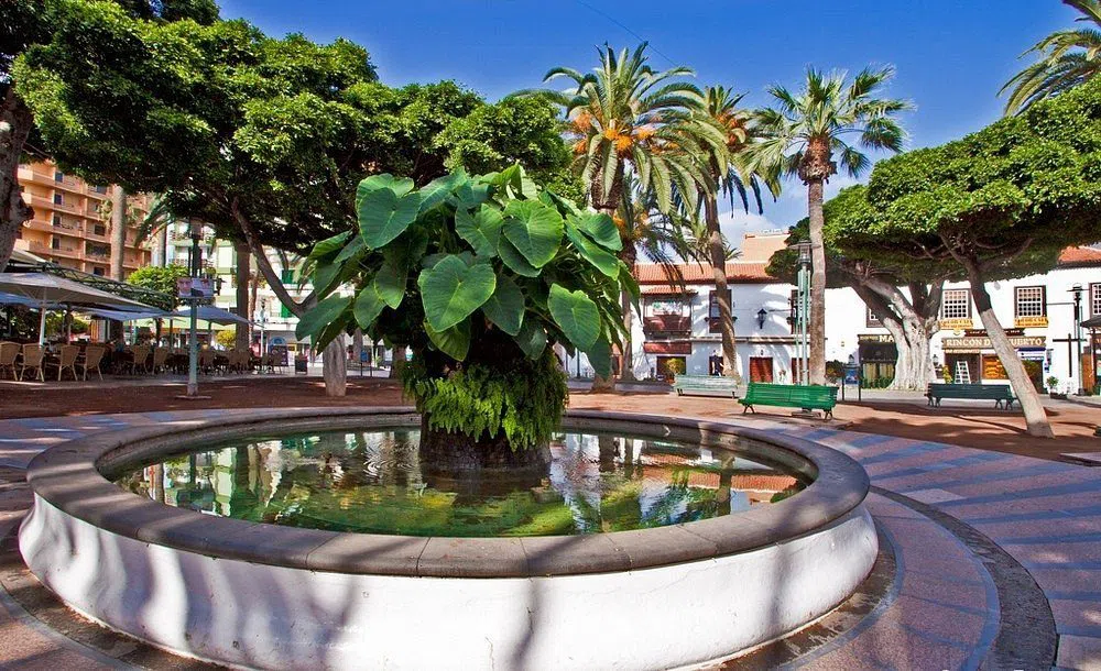 Plaza del Charco in the old town of Puerto de la Cruz