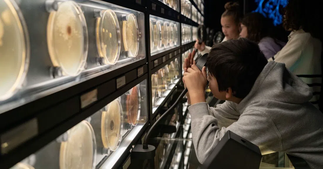 ARTIS-Micropia, Amsterdam