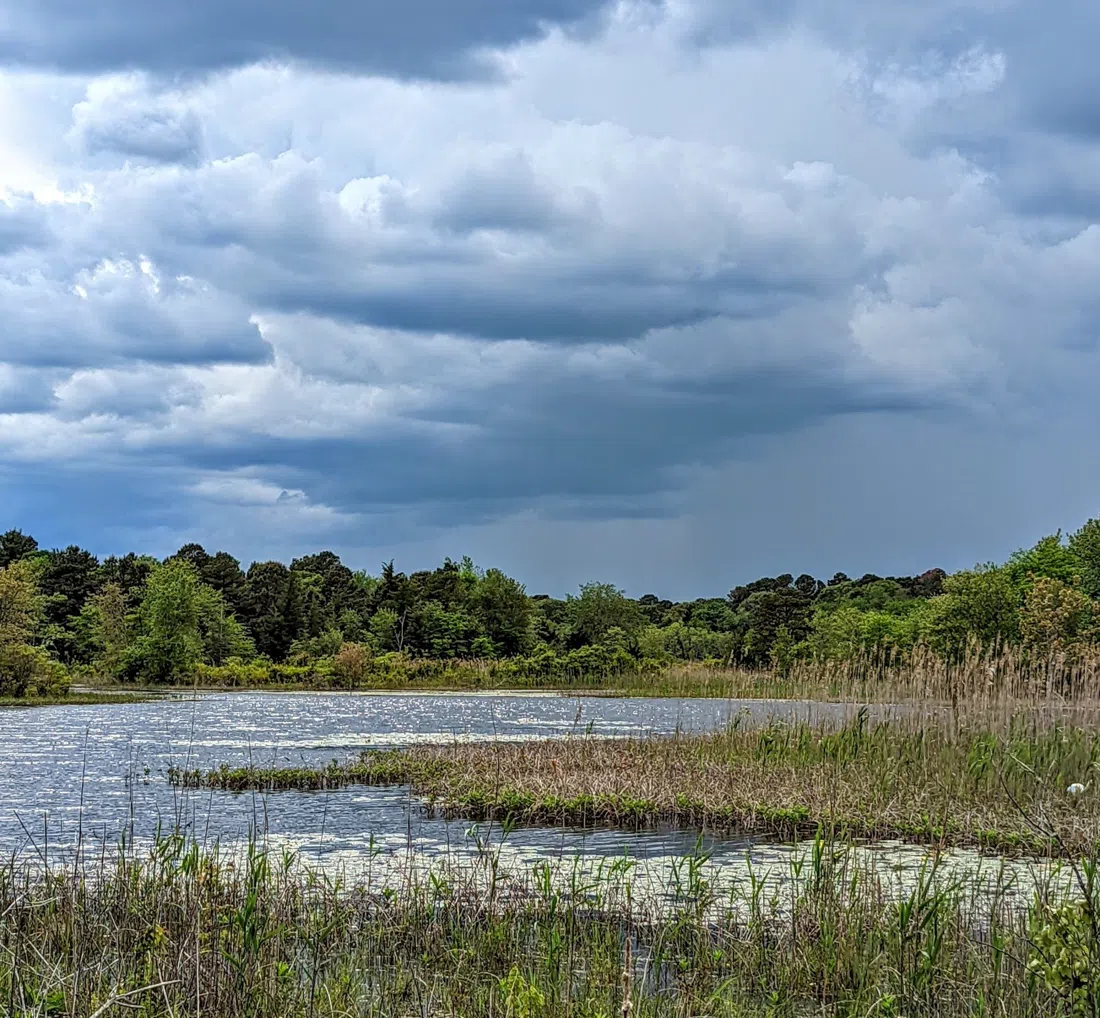 Edwin B. Forsythe National Wildlife Refuge, Atlantic City