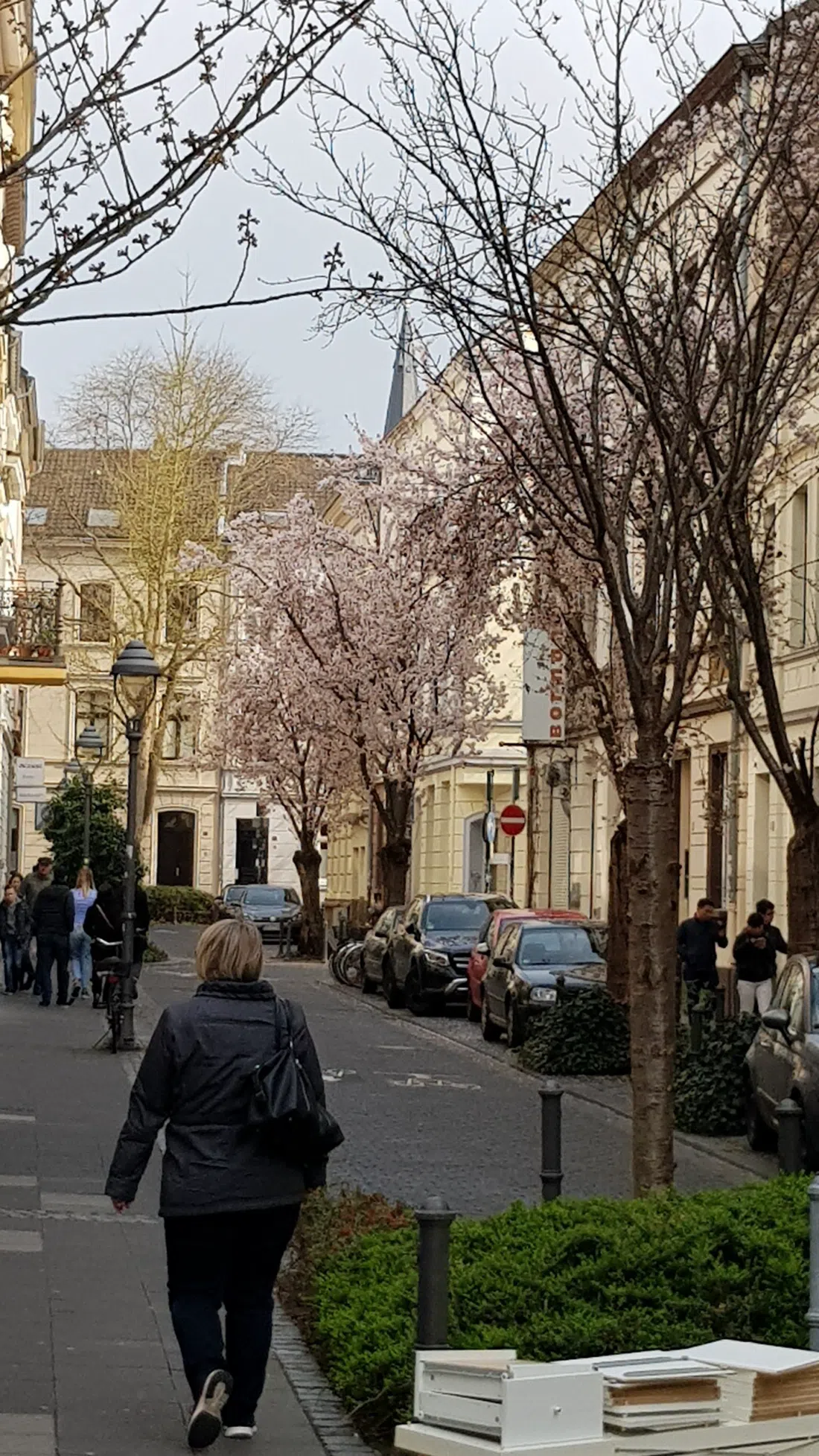 cambio CarSharing Bonn, Bonn