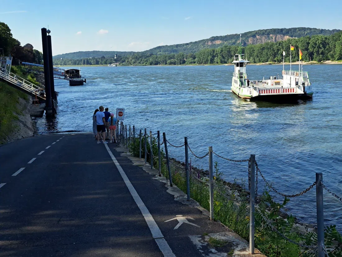 Rheinfähre Bad Godesberg — Niederdollendorf, Bonn