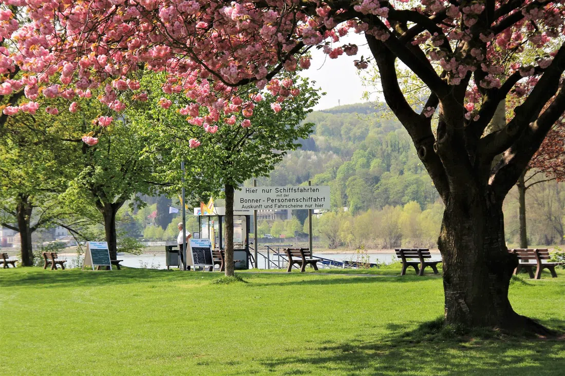 Insel Grafenwerth, Bonn