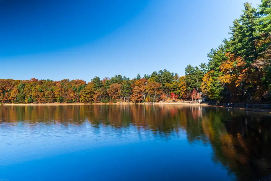 Walden Pond State Reservation, Boston