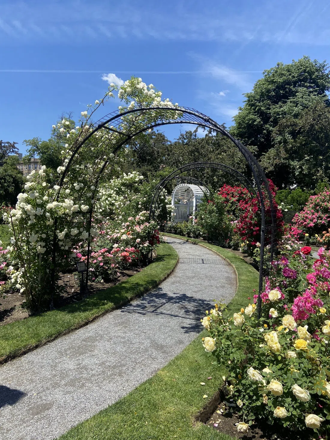 Back Bay Fens (Kelleher Rose Garden & Fenway Victory Gardens), Boston