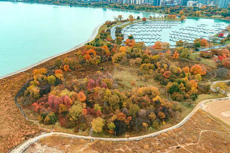 Montrose Point Bird Sanctuary, Chicago