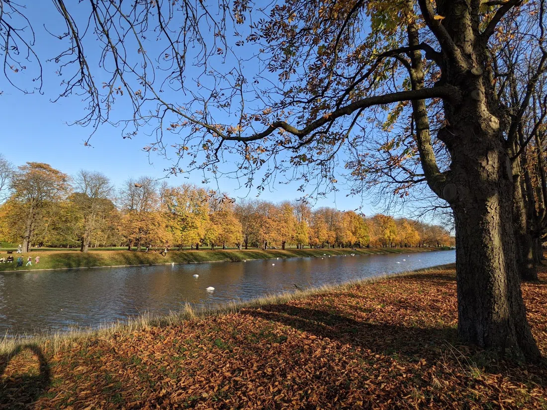 Kölner Stadtwald & Decksteiner Weiher, Cologne