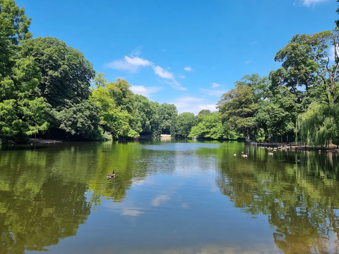 Volksgarten, Cologne