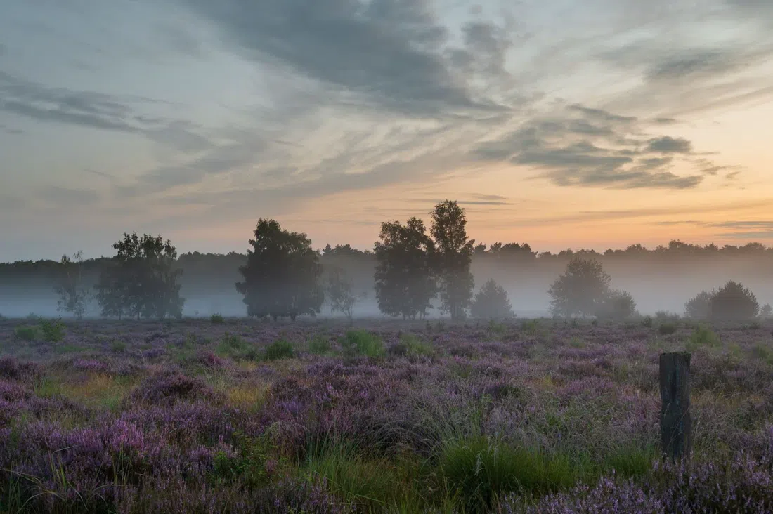 Wahner Heide, Cologne