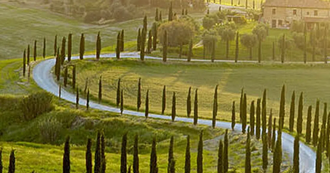 Transfeero, Florence
