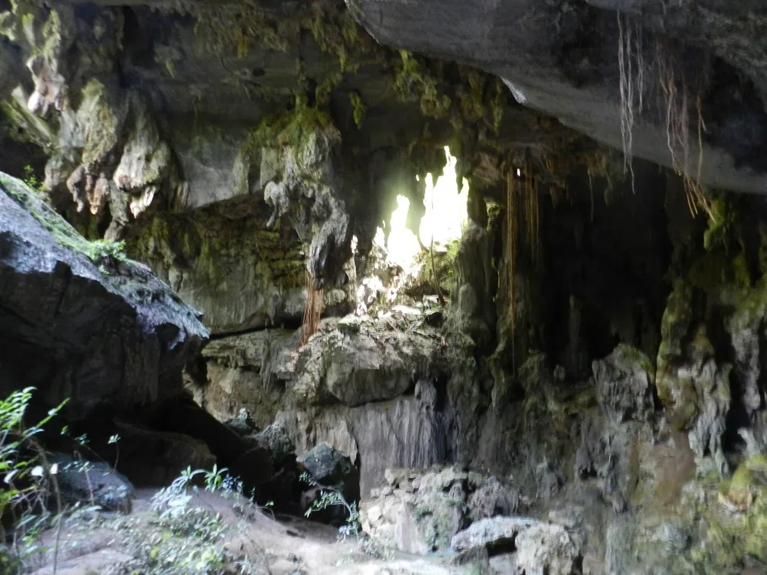 Gran Caverna de Santo Tomás, Havana