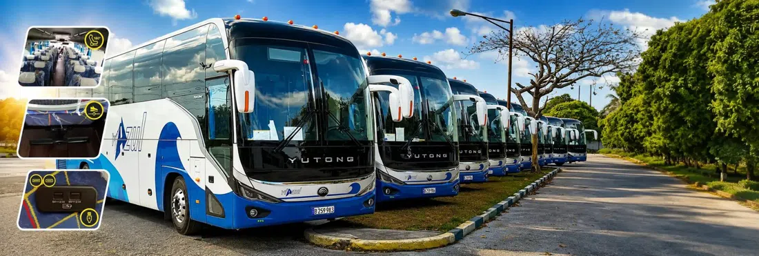 Víazul, Havana