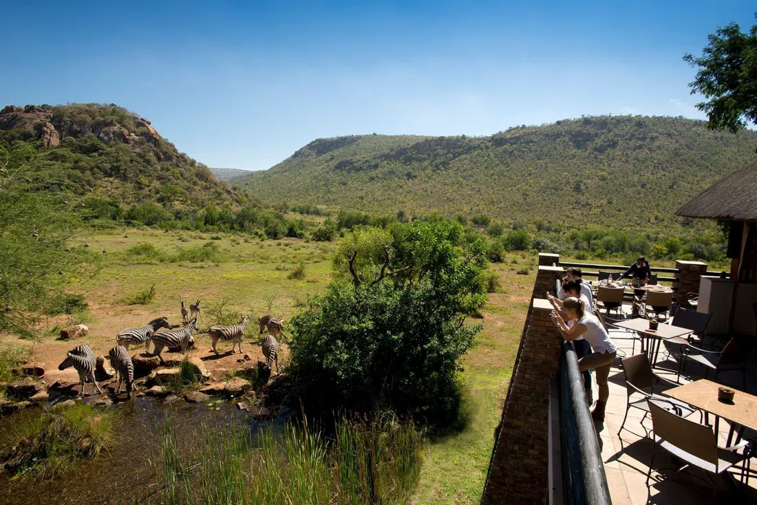 Kwa Maritane Bush Lodge, Johannesburg