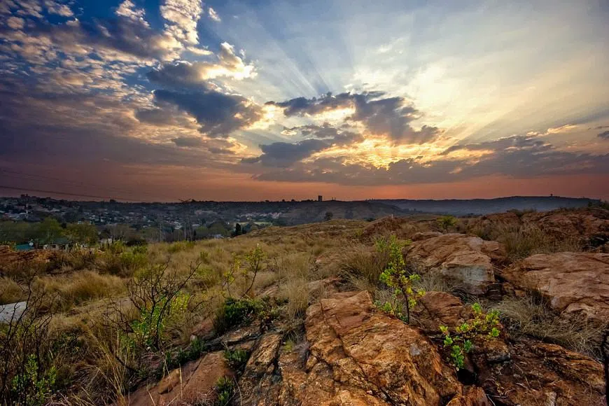 Melville Koppies Nature Reserve, Johannesburg