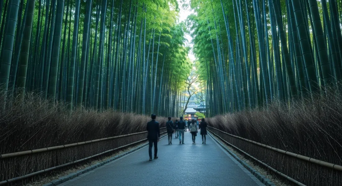 the Arashiyama Bamboo Grove at dawn, tall green stalks rising on both sides of the empty path, soft blue light filtering down between the trunks