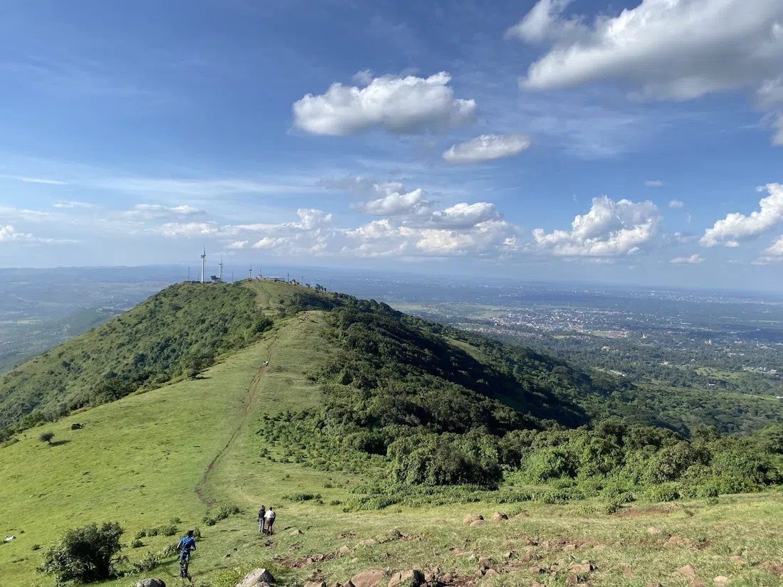 Ngong Hills Forest Reserve, Nairobi