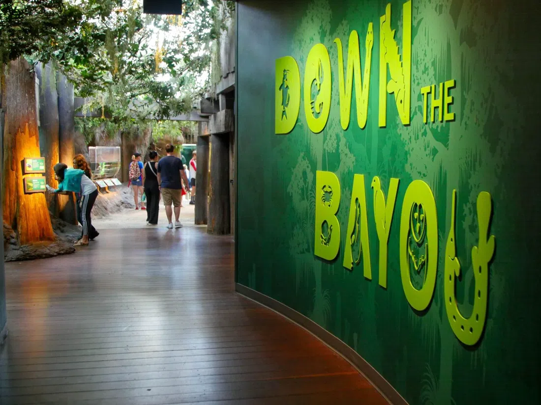 Audubon Aquarium and Audubon Insectarium, New Orleans