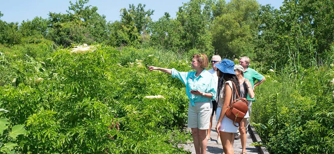 The Great Delta Tours, New Orleans