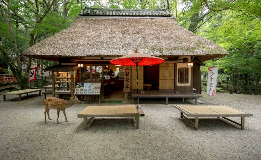 Mizuya Chaya, Osaka