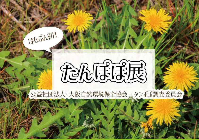 OSAKA Garden of Floral Culture (Osaka Prefectural Flower Garden, Kawachinagano), Osaka