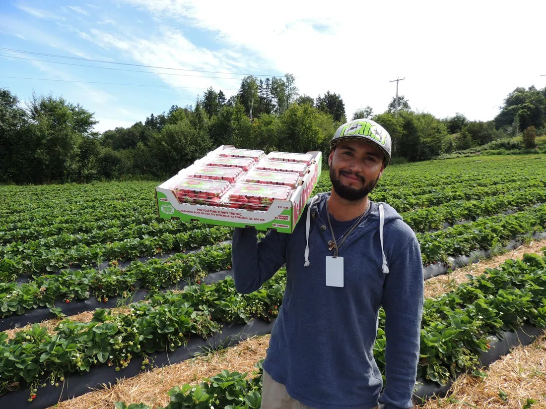 Marché Plante / Polyculture Plante, Quebec