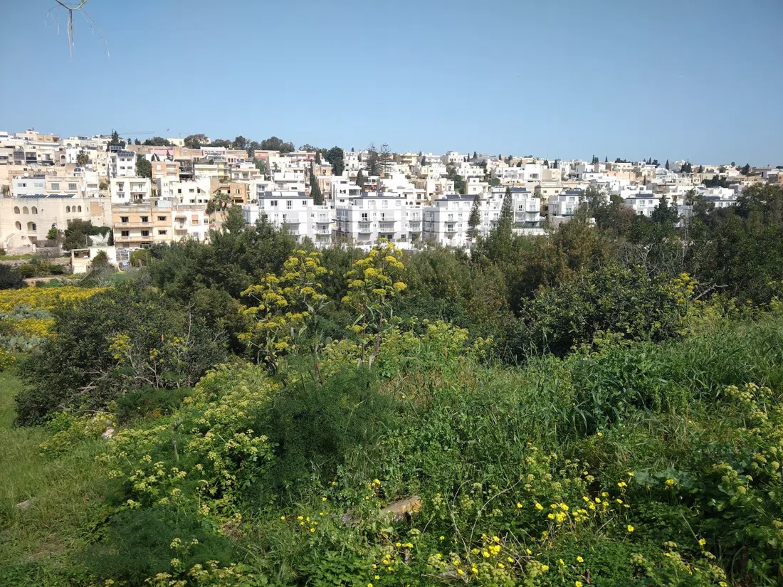 Wied Għollieqa Nature Reserve, St Julian's