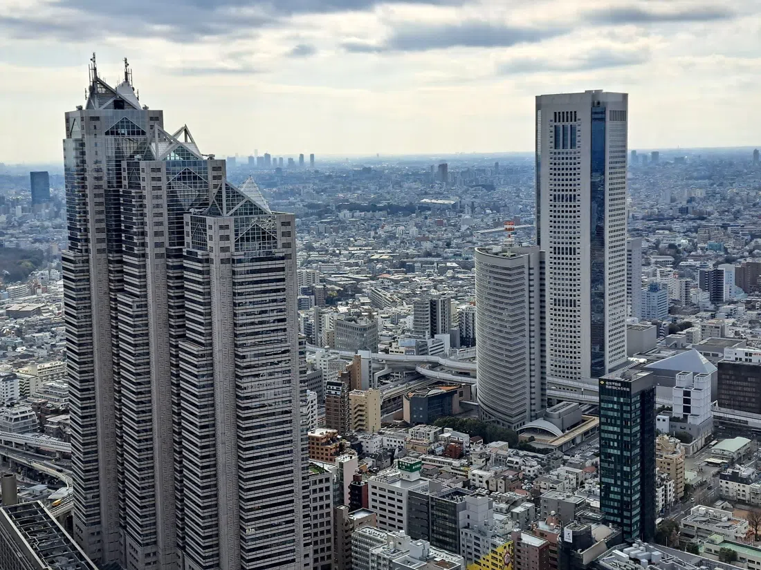 Tokyo Metropolitan Government Building Observatories (Tocho), Tokyo