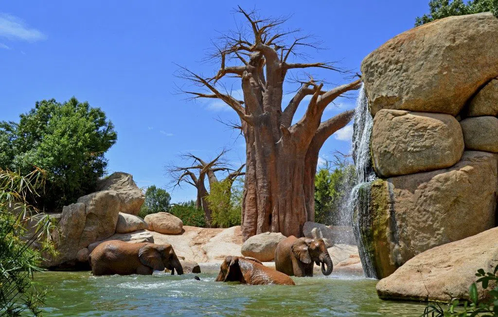 Bioparc València, Valencia