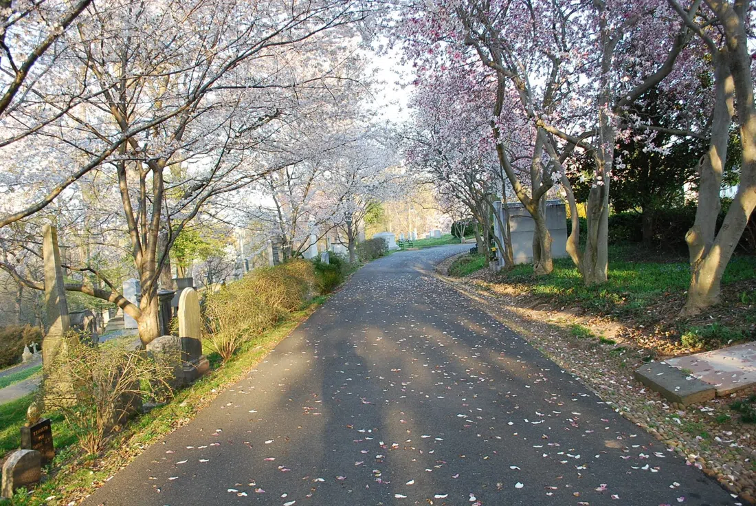 Oak Hill Cemetery, Washington
