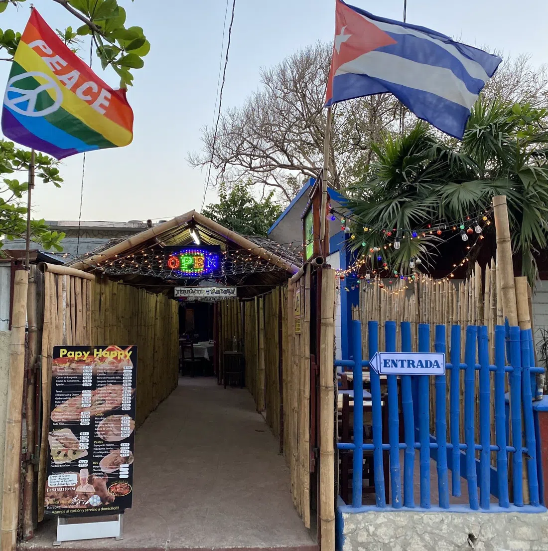 Papi Happy, Havana