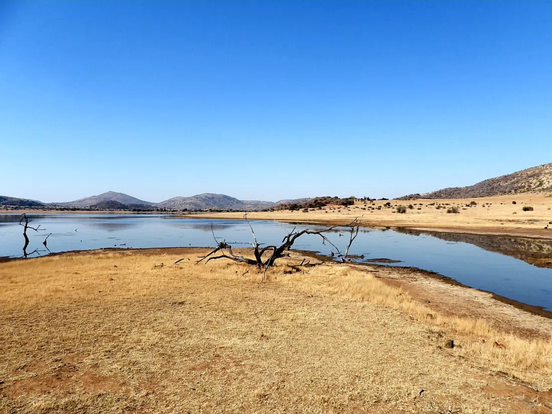 Mankwe Dam Hide, Johannesburg