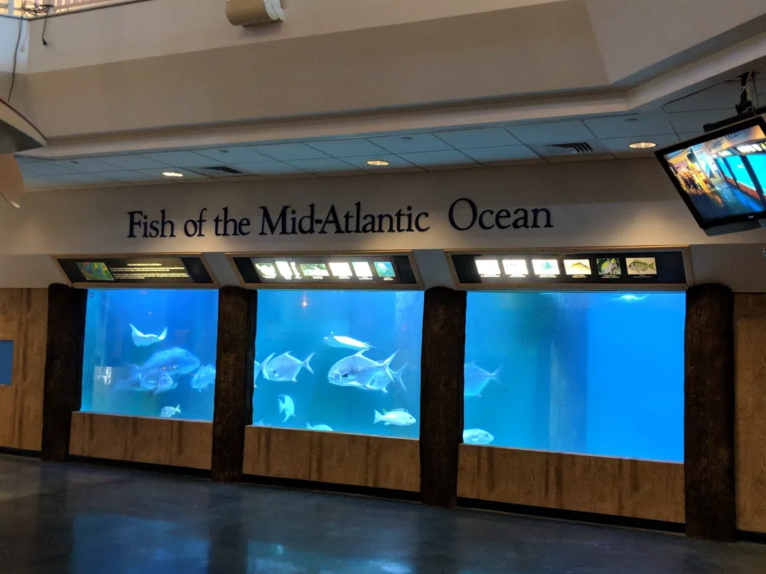 Adventure Aquarium, Atlantic City