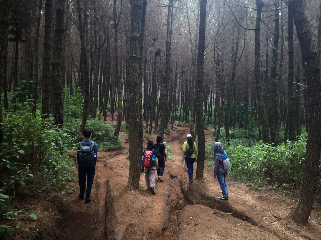 Jayagiri Trail (Tangkuban Parahu back route), Jakarta