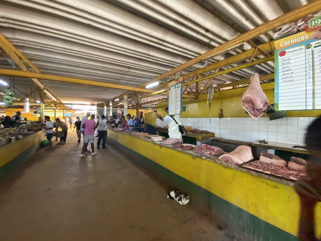 Mercado Agropecuario 19 y B, Havana