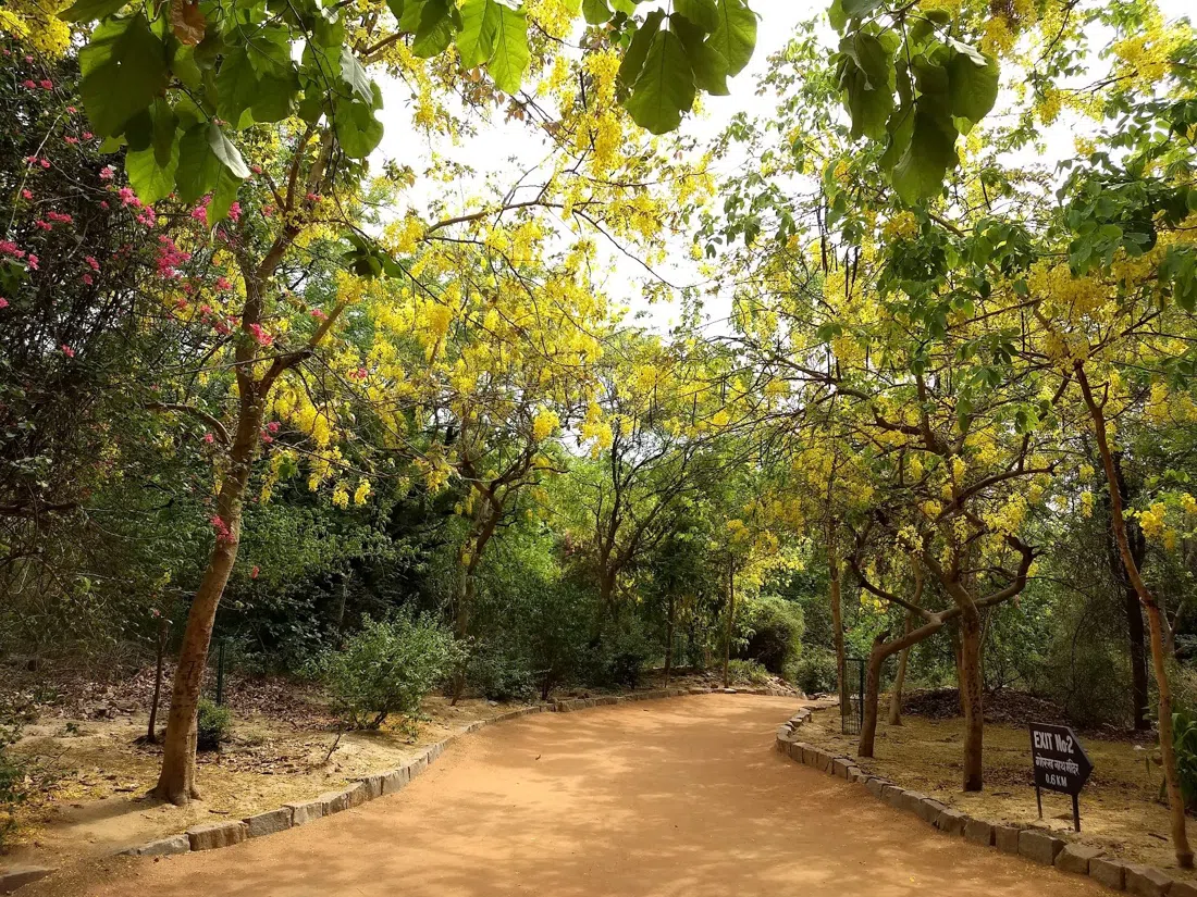 Sanjay Van, Delhi