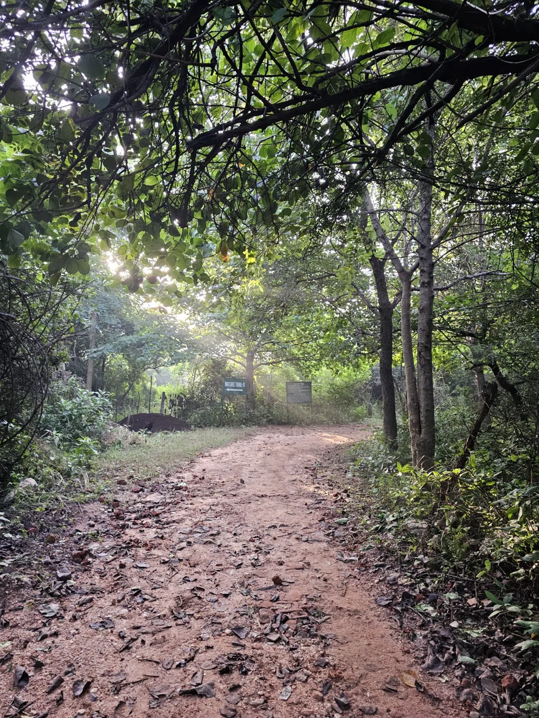 Aravalli Biodiversity Park, Delhi